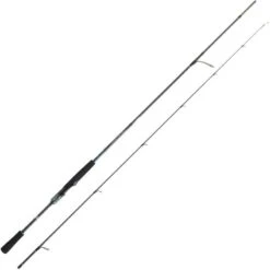 CANNE DAIWA SALTIST AGS RF